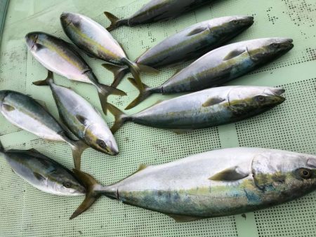 秋の鳴門大満足