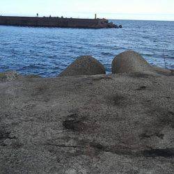 今季最大サイズも…。