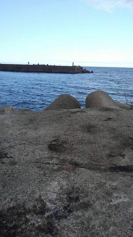 今季最大サイズも…。