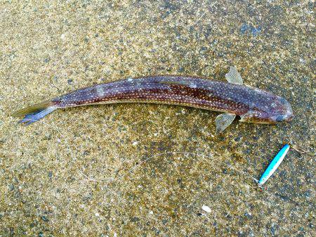 荒天後の爆釣！