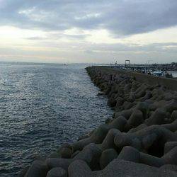 胴突きでカワハギ、穴からカニ