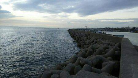 胴突きでカワハギ、穴からカニ