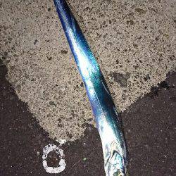 エロいピンクにかかりました。