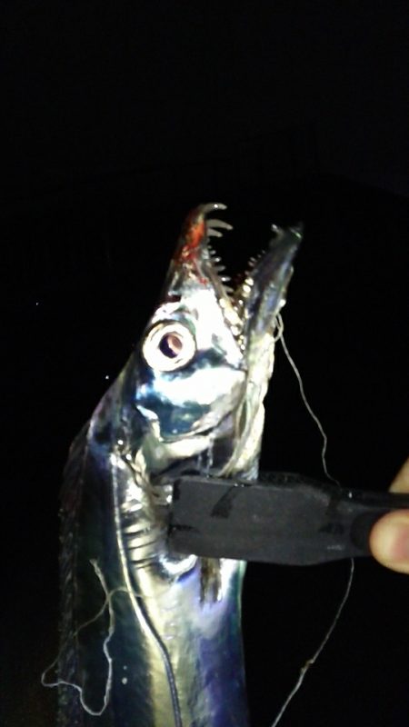 ドラゴンきたー！