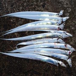 絶好調!! つ抜け