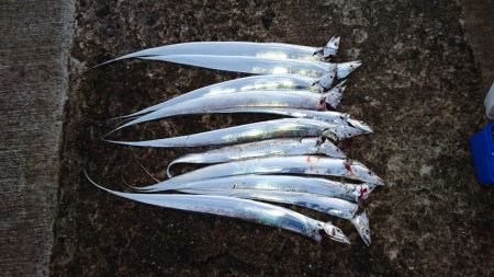 絶好調！！ つ抜け