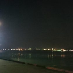 林田でタチウオ