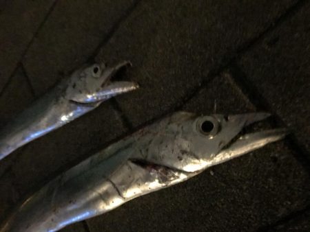 シーサイドコスモでワインド