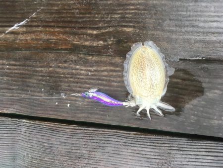 秋の鳴門大満足