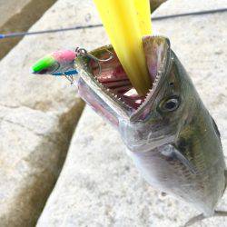 荒天後の爆釣！