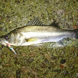 雨降りは素敵♪