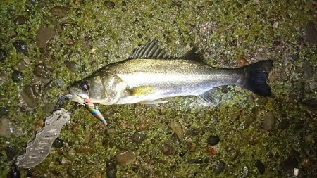 雨降りは素敵♪