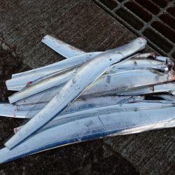 絶好調!! つ抜け