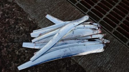 絶好調!! つ抜け