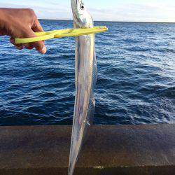 荒天後の爆釣！