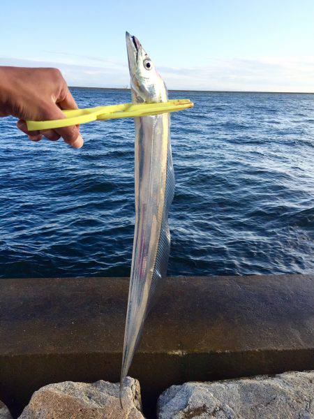 荒天後の爆釣！