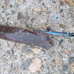 ブルーランナー