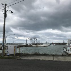 爆風、雨、水濁る=シーバス釣れるの方程式