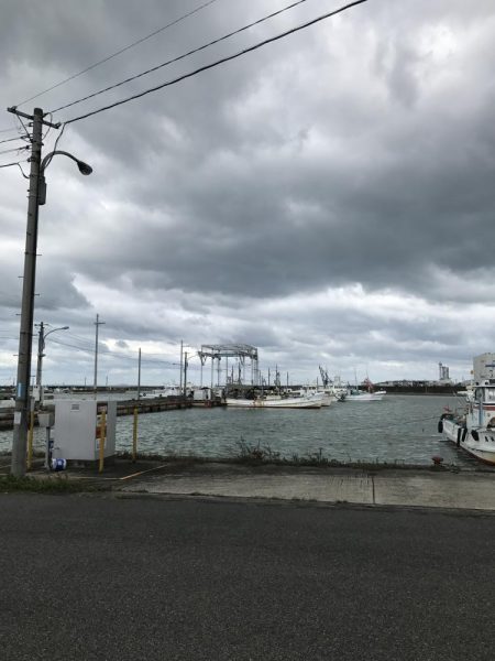 爆風、雨、水濁る=シーバス釣れるの方程式