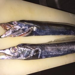 台風前の突撃！