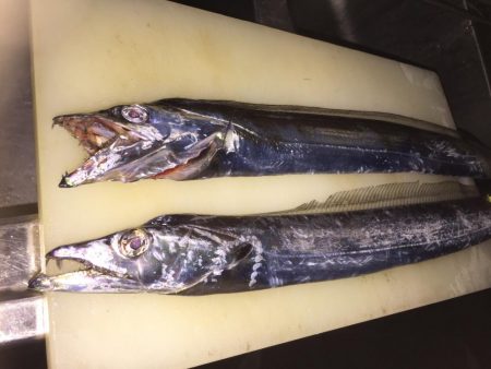 台風前の突撃！