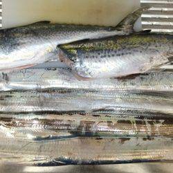 荒天後の爆釣！