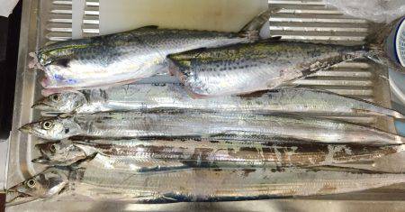 荒天後の爆釣！