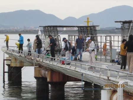 下関フィッシングパーク 釣果