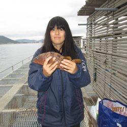 下関フィッシングパーク 釣果