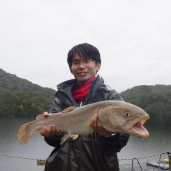フィッシングレイクたかみや 釣果