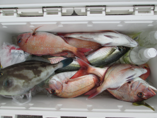 なかくに丸 釣果