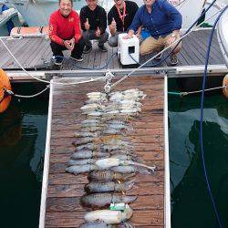 フィッシングボートACE(エース) 釣果