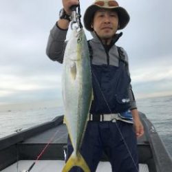 シーマジカル 釣果