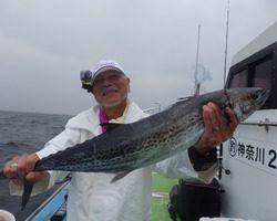 久里浜黒川本家 釣果