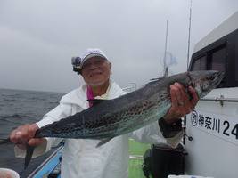 久里浜黒川本家 釣果