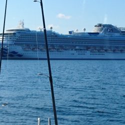 遊漁船ブルーウッズ 釣果