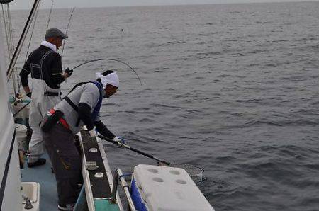 八海丸 釣果
