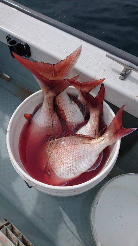 遊漁船ブルーウッズ 釣果