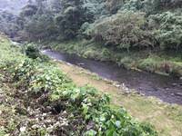 秩父フライフィールド 釣果