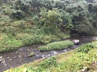 秩父フライフィールド 釣果