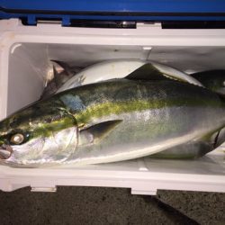 第二八坂丸 釣果