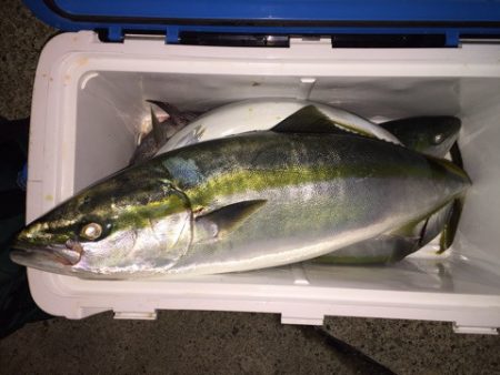 第二八坂丸 釣果