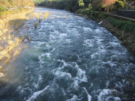 狩野川(狩野川漁業協同組合) 釣果