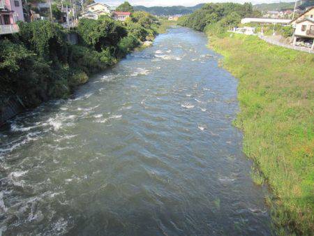 狩野川(狩野川漁業協同組合) 釣果