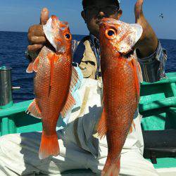 モンロー号 釣果