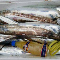 オーフリー 釣果