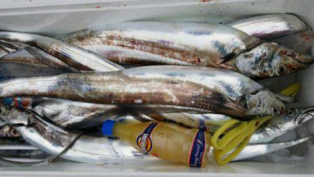 オーフリー 釣果