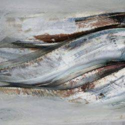 オーフリー 釣果