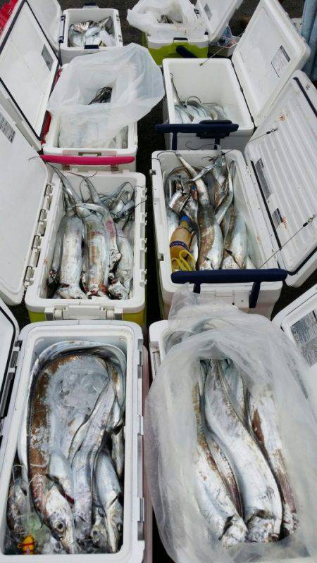 オーフリー 釣果