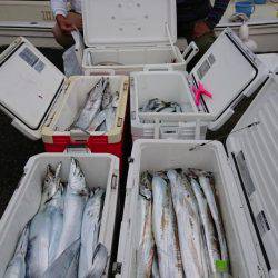 オーフリー 釣果